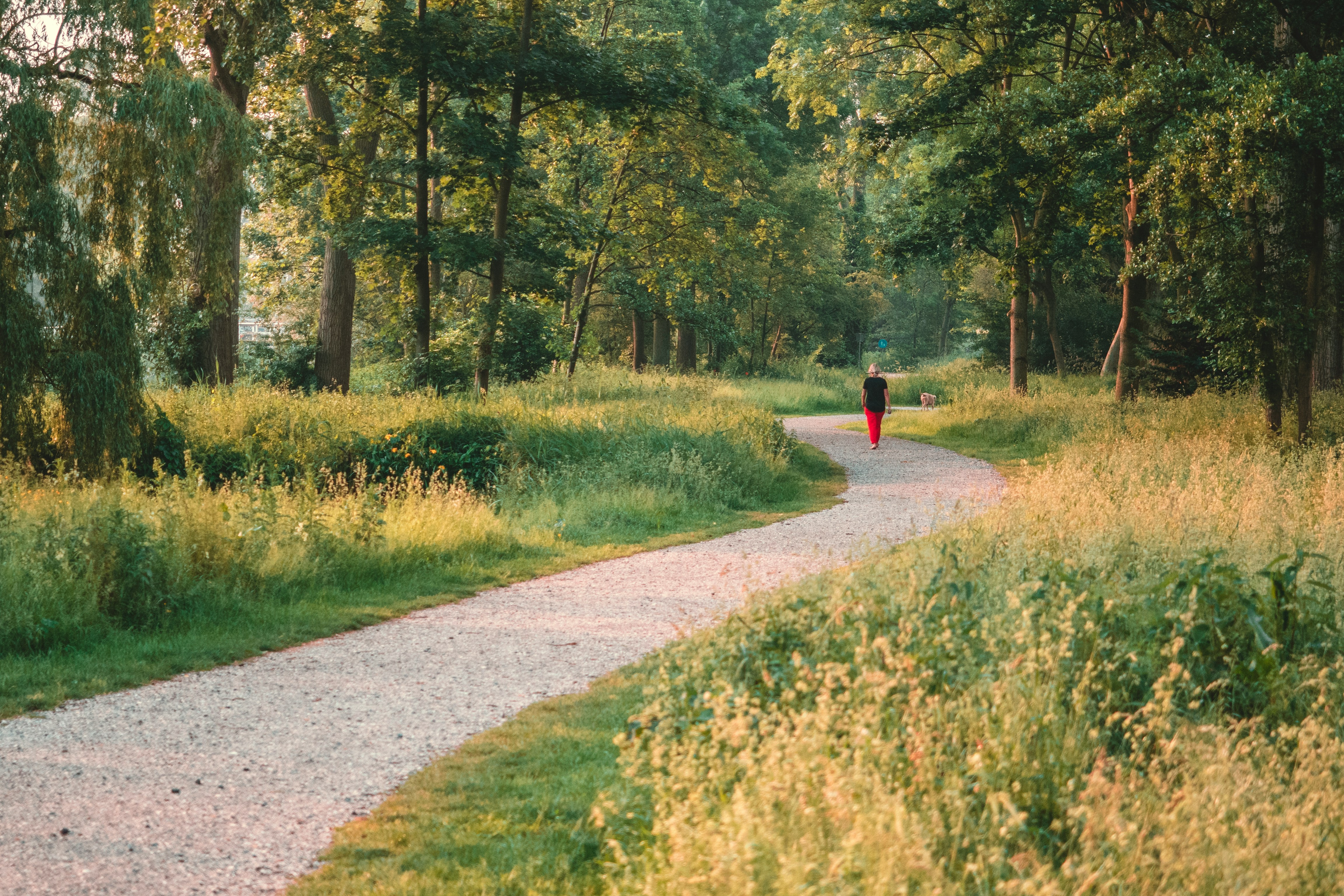 Joe Dispenza meditations involve walking meditations